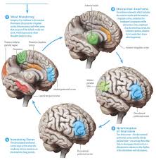 How Meditation Rewires the Brain for Better Focus